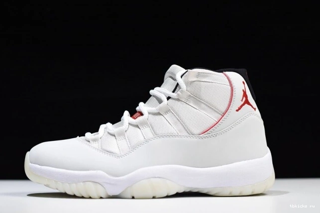 TB Jordan Air 378037-016 Retro 11 Tint Platinum 0718